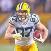 Jordy Nelson American Football Player Paint By Numbers