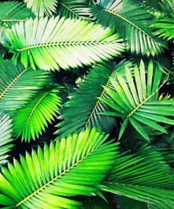 Palm Leaf Paint By Numbers