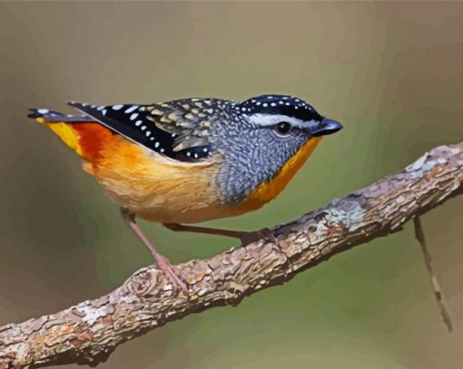 Pardalote On A Branch Paint By Number