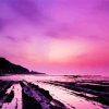 Purple Night Beach Paint By Numbers