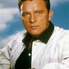 Richard Burton Paint By Numbers