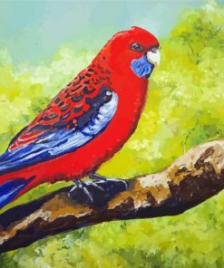 Rosella Paint By Number