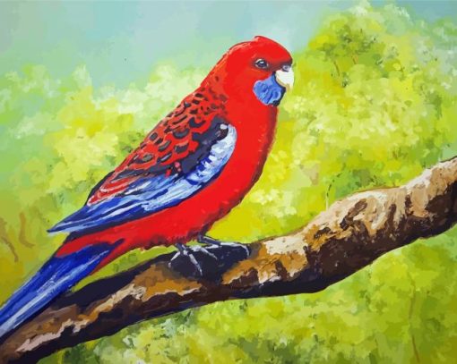 Rosella Paint By Number