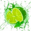 Splash Lime Paint By Numbers