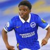 Tariq Lamptey Brighton And Hove Albion Player Paint By Number