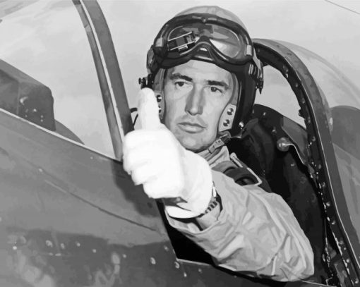 Ted Williams In Plane Paint By Numbers
