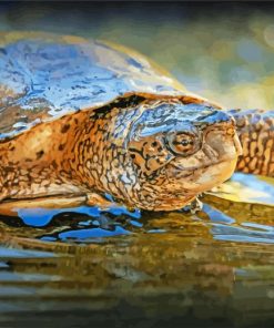 Terrapin Turtle Reptile In Water Paint By Number