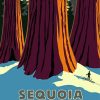 The Sequoia National Park Paint By Number