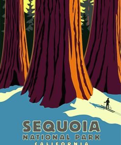 The Sequoia National Park Paint By Number