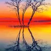 Tree In Lake At Sunset Paint By Number