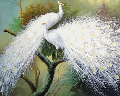 Two White Peacock Birds Paint By Numbers