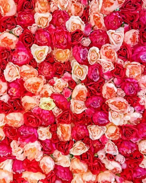 Wall Of Pink Roses Paint By Numbers