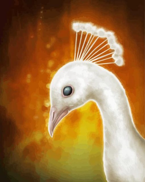 White Peacock Head Art Paint By Numbers