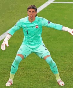 Yann Sommer Football Player Paint By Number