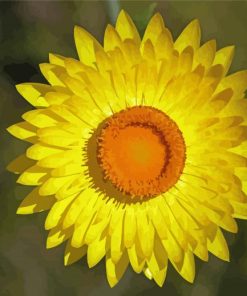 Yellow Paper Daisy Paint By Numbers