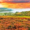 Yorkshire Moorland Landscape Paint By Number
