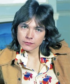 Aesthetic David Cassidy Paint By Numbers