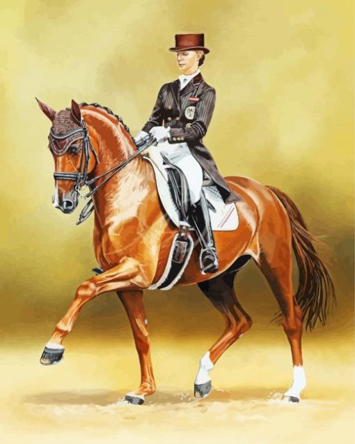 Aesthetic Dressage Horse Paint By Numbers