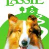 Aesthetic Lassie Paint By Numbers