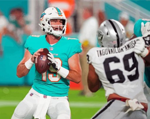 Aesthetic Miami Dolphins Paint By Numbers