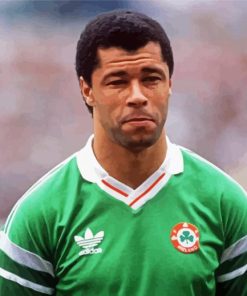 Aesthetic Paul Mcgrath Paint By Numbers
