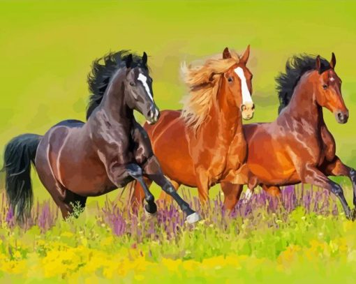 Animals Horses In The Wild Paint Paint By Numbers