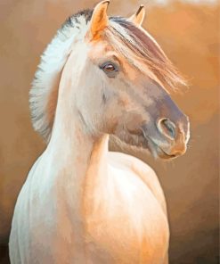Beautiful Fjord Horse Paint By Number