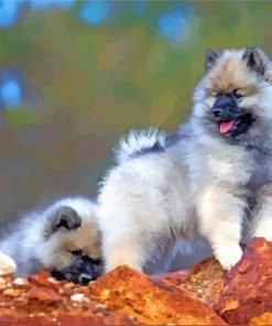 Beautiful Keeshond Puppy Paint By Number