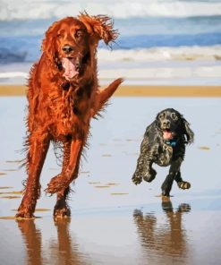 Black And Brown Working Cocker Spaniel Paint By Number