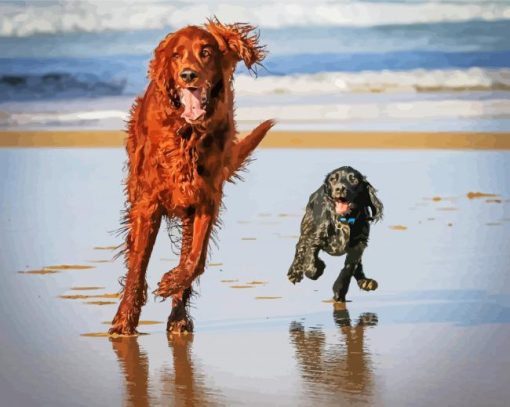 Black And Brown Working Cocker Spaniel Paint By Number