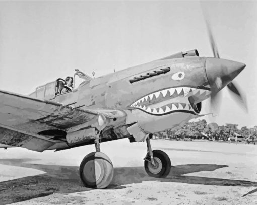 Black And White Flying Tigers Paint By Numbers