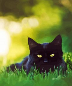 Black Cat In Grass Paint By Number