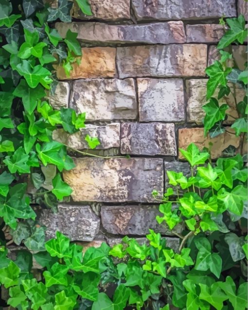 Brick Wall With Green Vines Paint By Numbers