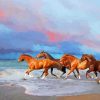 Brown Horses On The Beach Paint By Numbers