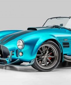Classic Cobra Car Paint By Number