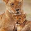 Cute Lioness And Cub Paint By Numbers