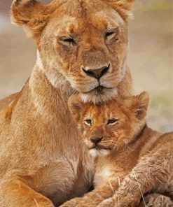 Cute Lioness And Cub Paint By Numbers