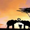 Elephant Lovers Silhouette Paint By Number