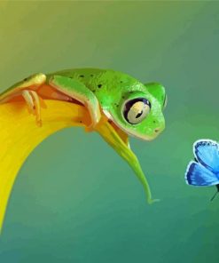 Frog And Butterfly Paint By Numbers