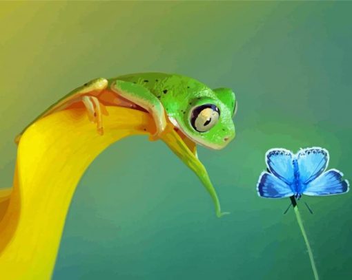 Frog And Butterfly Paint By Numbers