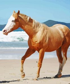 Golden Palomino Quarter Horse Paint By Numbers