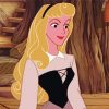 Princess Aurora Paint By Number