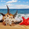 Red Starfish And Seashells On Beacha Paint By Numbers