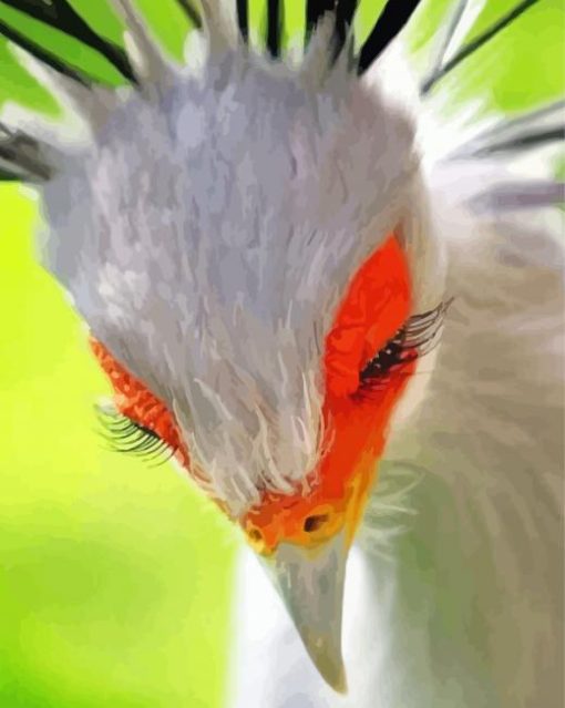 The Secretary Bird Paint By Number