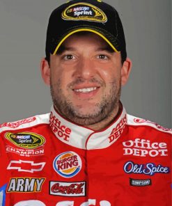 Tony Stewart Paint By Numbers