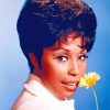 Young Diahann Carroll Paint By Number