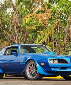 78 Trans Am Paint By Numbers