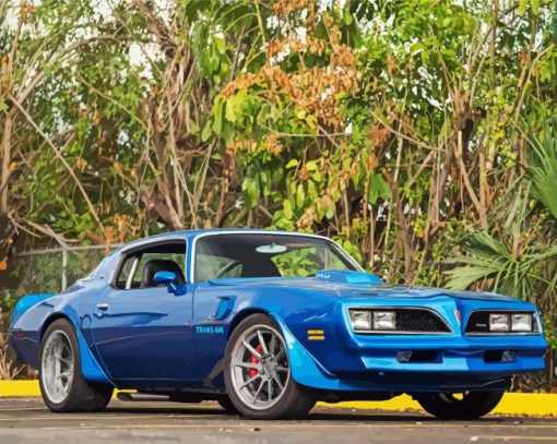 78 Trans Am Paint By Numbers