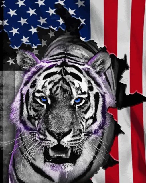 Aesthetic Patriotic Tiger Paint By Numbers