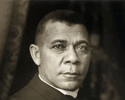 Aesthetic Booker Washington Illustration Paint By Numbers